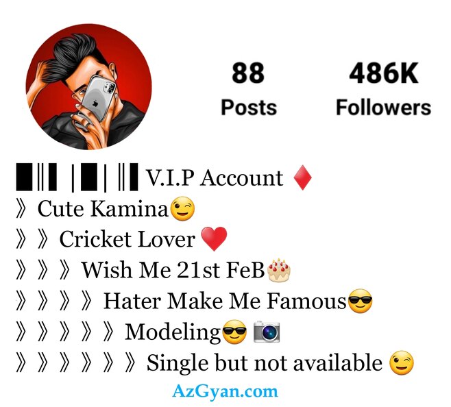 Instagram Bio Styles