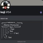 Discord Bio Template