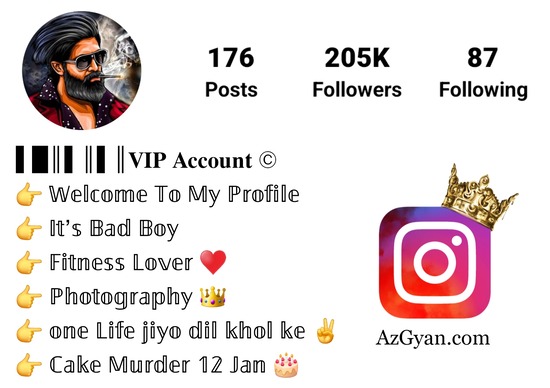 Instagram VIP Bio Stylish Font