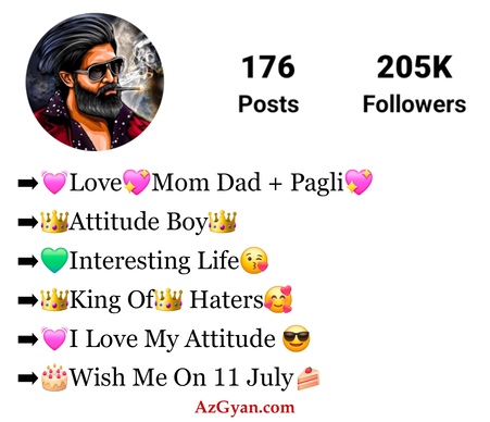 Instagram Bio For Boys Stylish Font