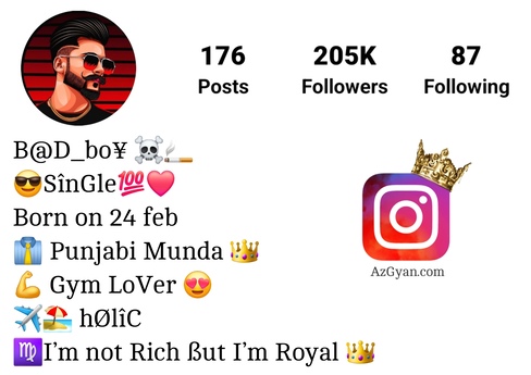 Instagram Bio For Boys In Punjabi