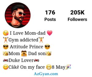 Instagram Bio Punjabi