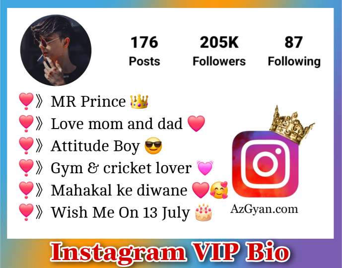 Instagram VIP Bio