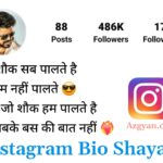 Instagram Bio Shayari